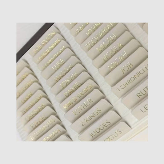 Neutral Gold Bible Tabs | Books of the Bible Study Tabs - What She Said Creatives