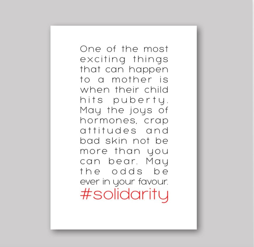 Puberty Solidarity - What She Said Creatives