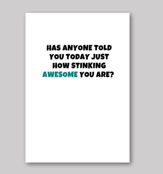 Stinking Awesome - What She Said Creatives