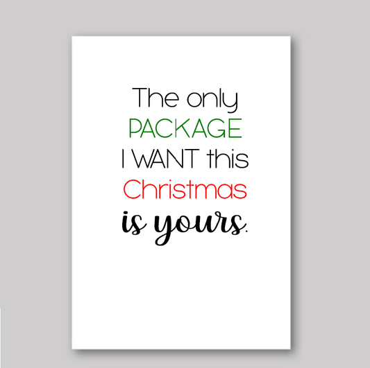 The Only Package I Want - What She Said Creatives